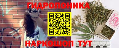 прущие грибы Тара