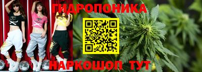 прущие грибы Тара