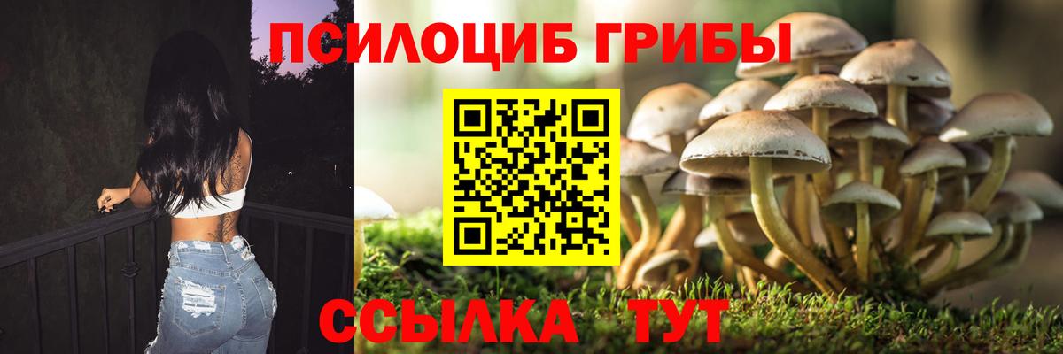 Псилоцибиновые грибы Magic Shrooms  Псилоцибиновые грибы прущие грибы  Нижнеудинск  Вход с VPN 